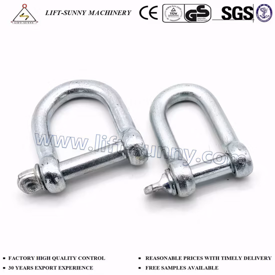 Galvanized European Type Large Wide Dee Shackle Wholesale